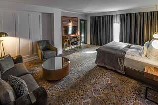 Отель HOTEL BOUTIQUE DONNA ANNA Giroc Двухместный номер Делюкс с 1 кроватью или 2 отдельными кроватями-8