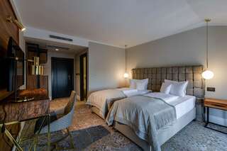 Отель HOTEL BOUTIQUE DONNA ANNA Giroc Двухместный номер с 1 кроватью или 2 отдельными кроватями-7